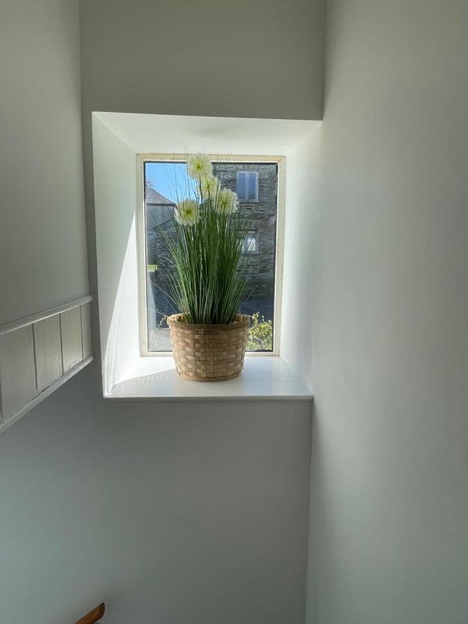 Mayfair, Tintagel 3 Bed Sleeps 6 Daire Dış mekan fotoğraf